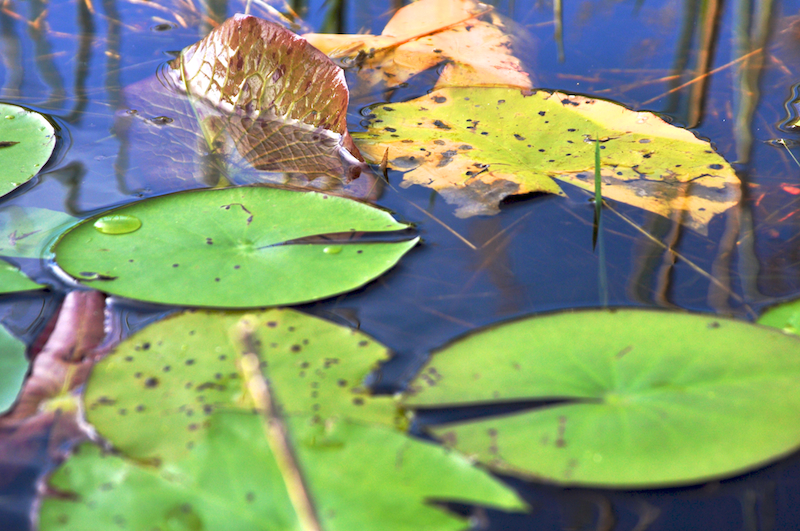 Melanie Heinrich Travel Images Africa